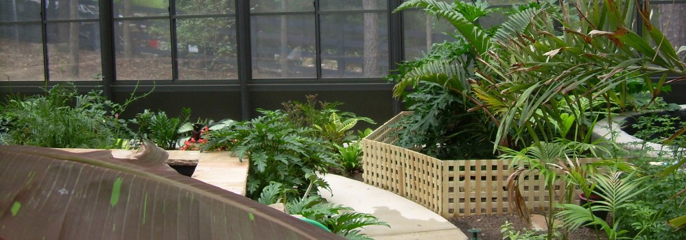 Turn Your Pool Enclosure into a Beautiful Garden Sanctuary